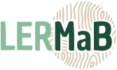 Logo_LERMAB